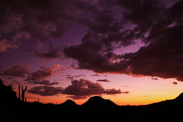 United States of America - Tucson Arizona - land of the perfect sunset & sunrise with amazing rolling hills, desert landscapes and cactus