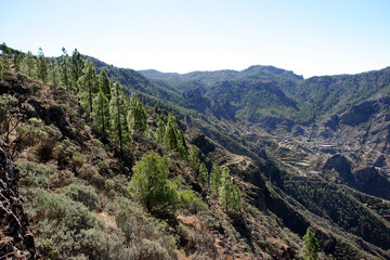 Fototapeta na wymiar Tejeda Valley, Gran Canaria, Spain