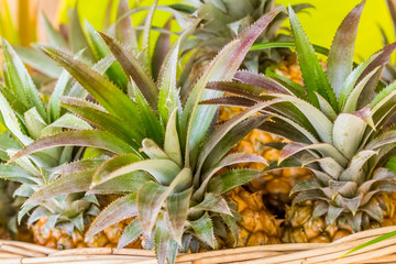 pineapple on green background