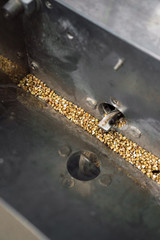 The process of making green buckwheat flour