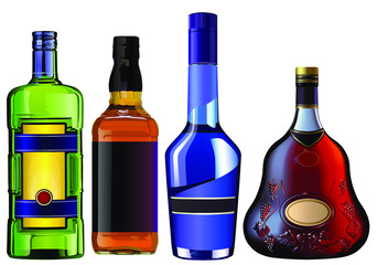 Alcohol bottles set isolated on white