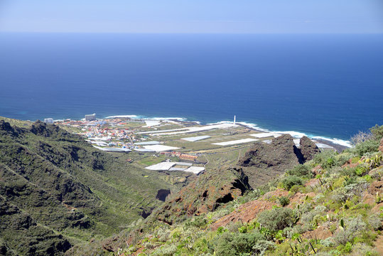 Punta del Hidalgo, Tenerife, Canary Islands, Spain