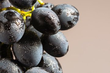 close up blurred grapes on bright background