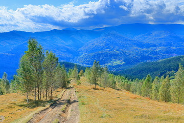 Naklejka premium Country road in the picturesque Carpathian mountains, in the fall.