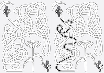 Ladybug maze