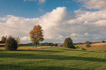Masurian meadows at autumn near Banie Mazurskie, Masuria, Poland
