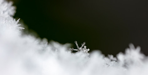 natural snowflakes on snow, winter