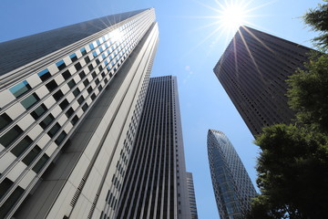 Obraz premium 新宿 副都心