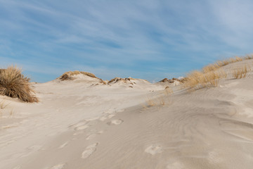 Fototapeta na wymiar Sandy dune tops with a blue sky