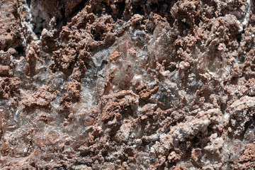 Salt crystals on the salty surface of desert close up. Natural background with copy space