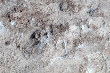 Salt crystals on the salty surface of desert close up. Natural background with copy space