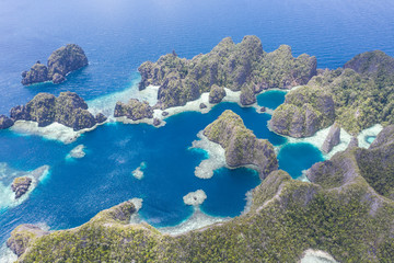 Fringing coral reefs thrive along the edge of the beautiful limestone islands found near Misool,...