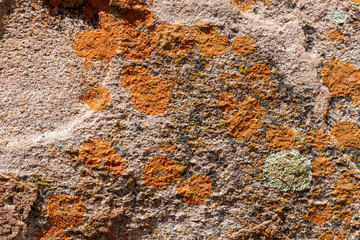 Backdrop of rough stone surface outdoors Natural background with copy space