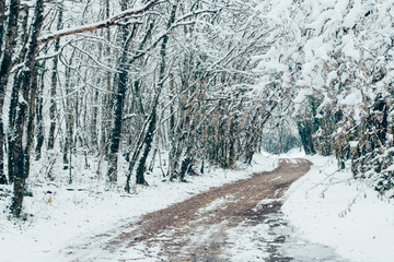 une route avec de la neige en hiver dans la forêt du jura arbois poligny