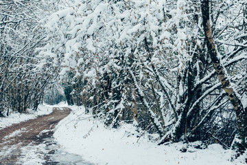 une route avec de la neige en hiver dans la for&ecirc;t du jura arbois poligny