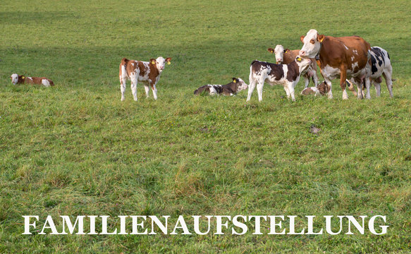 FAMILIENAUFSTELLUNG 