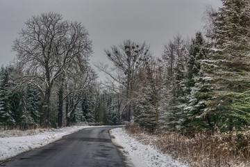 Droga w lesie podczas zimy, zaspy śniegu na poboczu i czarne odśnieżona droga