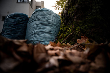 Bags full of leafs are sitting next to the street.