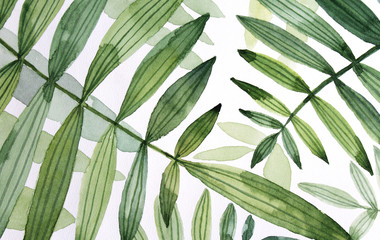 Watercolor drawing background with green leaves