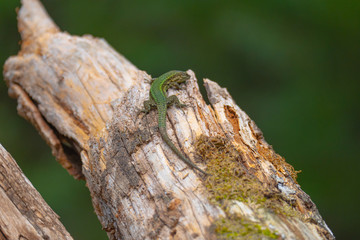 FOTOS NATURALEZA Y VIAJES