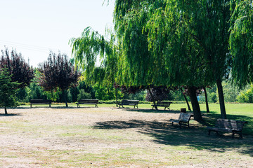 clear with benches to sit in park with trees