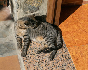 FOTOS NATURALEZA Y VIAJES