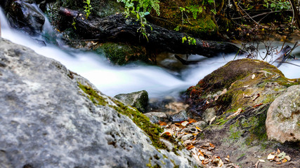 FOTOS NATURALEZA Y VIAJES