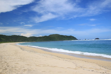 Obraz premium Buffalo on the white sand beach in Lombok, Indonesia, Asia