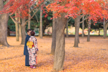 Couple in kimono outfit admiring the beautiful autumn colors of Japanese maple tree iroha momiji leaves in Yoyogi public park in Japan