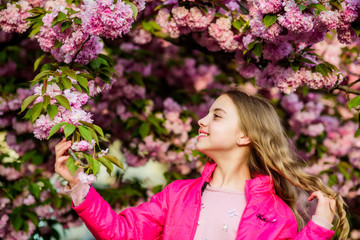 Fototapeta premium It is spring time.. Natural cosmetics for skin. small girl child in spring flower bloom. happy girl in cherry flower. Sakura tree blooming. blossom smell, allergy. summer. Childhood beauty