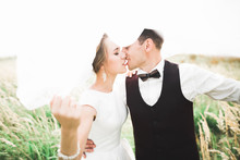 Beautiful wedding couple, love on the sunset. Fielf with flowers