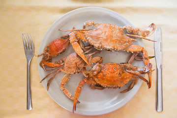 Steamed horse crab or blue crab in white plate on wood table. Seafood