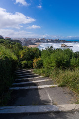Fototapeta na wymiar Foot path on Biarritz coast, France