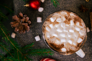 Obraz na płótnie Canvas mug of hot chocolate with marshmallow, fir branches on dark background, winter Christmas hot drink, top view