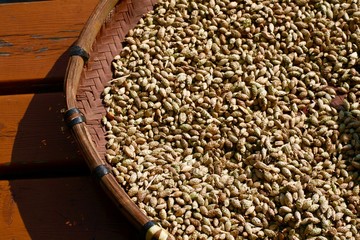 Obraz premium grain_asia