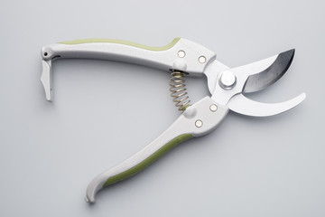 Pruner on grey background