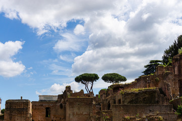 Ancient ruins in Rome on a sunny day