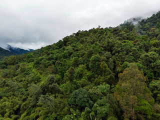 Heavy clouds over the rainforest in Khao Sok National Park, Thailand