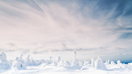 Fototapeta na wymiar Strange frozen up figures in Sudety mountain in Poland on winter.