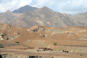 Fototapeta na wymiar Mountains and landscape, Oman