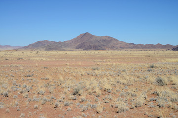Steppe, Namib desert, Namibia