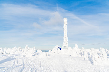 Strange frozen trees as figures in Sudety mountain in Poland on winter.