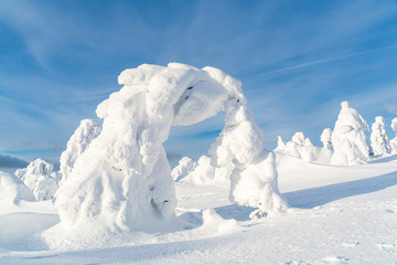 Fototapeta na wymiar Strange frozen trees as figures in Sudety mountain in Poland on winter.