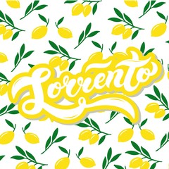 Sorrento. The name of Italian town on the Amalfi coast. Hand drawn lettering. Vector illustration. Best for souvenir products.