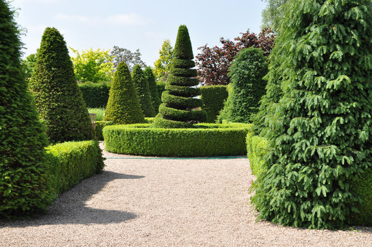 Topiary hedges and spiral tree in formal English garden