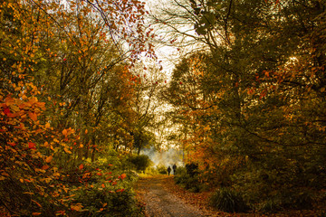 Couple taking a stroll through an Autumn woodland with smoke coming through the trees