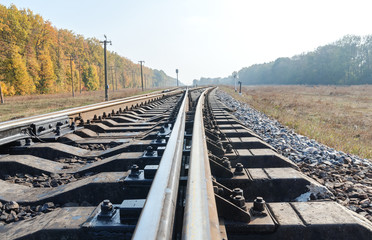 two railways closeup in autumn