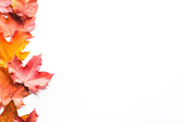 Autumn composition frame of autumn leaves on a white background. Flat position, top view, copy space