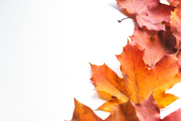 Autumn composition frame of autumn leaves on a white background. Flat position, top view, copy space