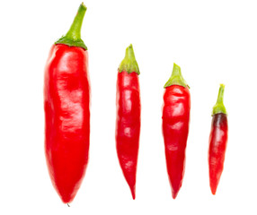 Red chili pepper isolated on a white background